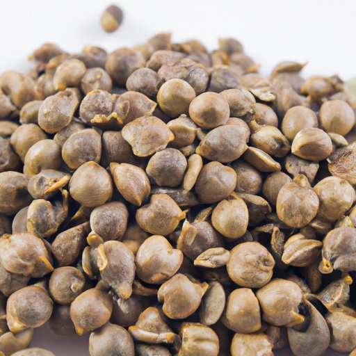 Are Cherry Seeds Bad For You? Exploring the Potential Health Benefits