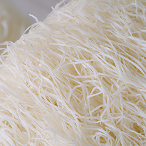 Are Vermicelli Noodles Healthy? Exploring the Benefits and Risks The