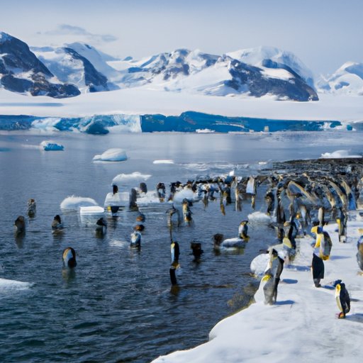 Are You Allowed to Travel to Antarctica? Exploring the Rules and