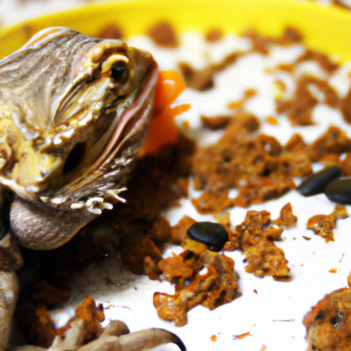 Can a Bearded Dragon Eat Wax Worms? Pros, Cons, and Everything Else You