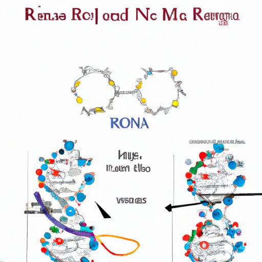 Did Robert Malone Invent mRNA? Exploring the Life and Legacy of a ...