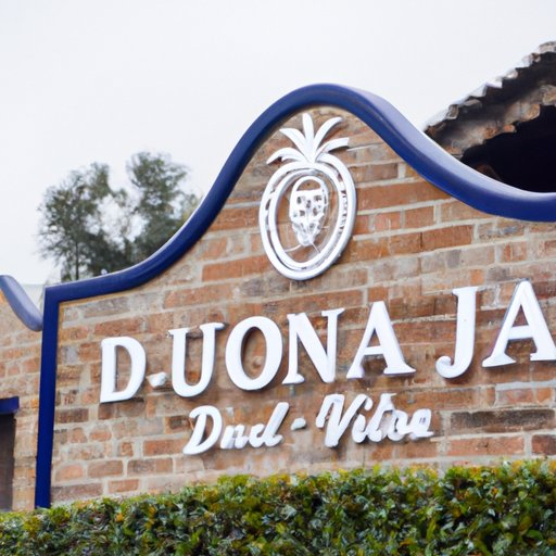 Exploring the Don Julio Tequila Tour A Traveler’s Guide to Mexico’s