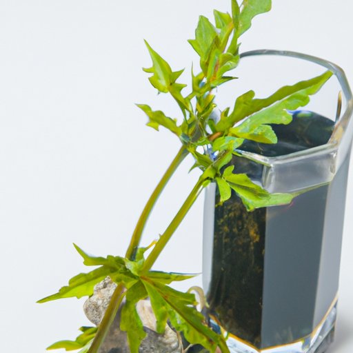 How to Get Weed Out of Your System A Comprehensive Guide The