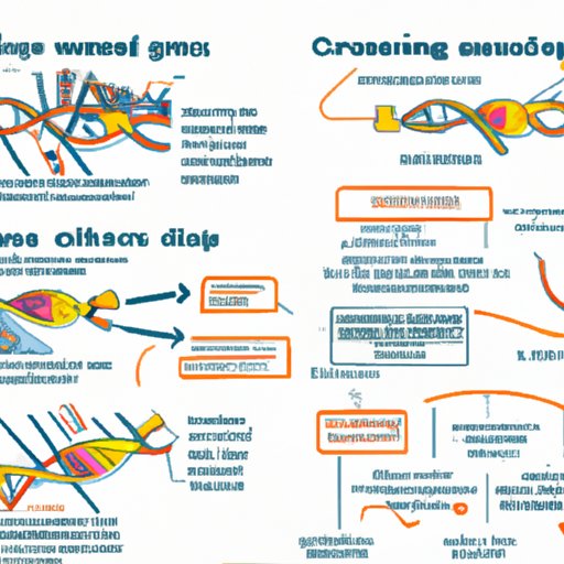Exploring How Crispr Cas9 Works A Comprehensive Guide The