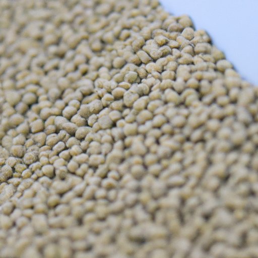 How Long After Fertilizing Can I Seed? Understanding Different Types