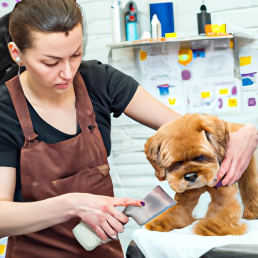 How to a Pet Groomer A Comprehensive Guide The Enlightened