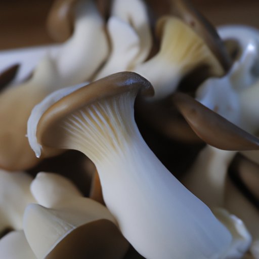 How to Eat a Mushroom A StepbyStep Guide The Enlightened Mindset