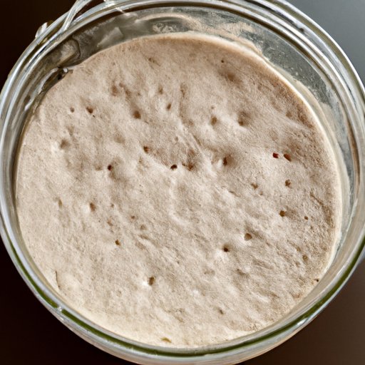 Live San Francisco Wharf Sourdough Starter – Dried Powdered Culture Yeast (VERY SOUR Flavor)