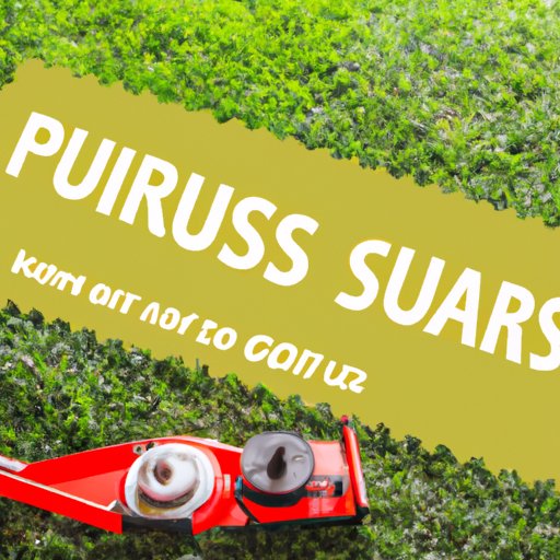 how-to-start-a-lawn-cutting-business-costs-advertising-plan-and-more