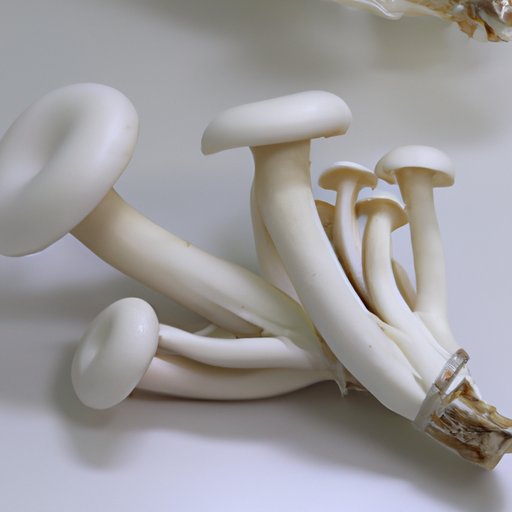 Is Mushroom Healthy? Exploring Its Nutritional Benefits, Medicinal