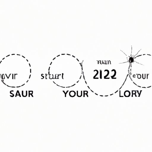 Exploring the Wonders of a Trip Around the Sun What You Can Learn From