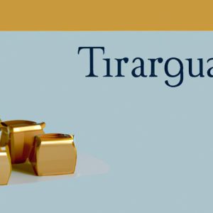 Is Trafigura Publicly Traded? Exploring the Pros and Cons of Investing