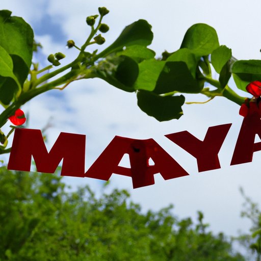 Exploring the Significance of May: From Holidays to Natural Wonders - The Enlightened Mindset