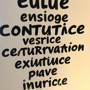 WHAT DOES CULTURE MEAN TO YOU visual data 2