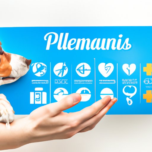 Exploring the Benefits and Coverage of Healthy Paws Pet Insurance The
