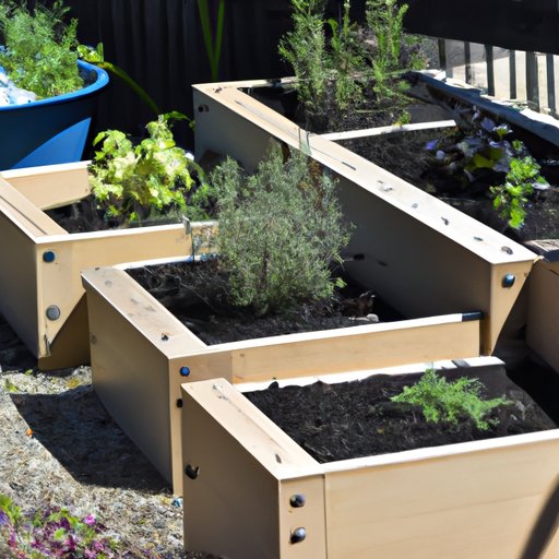 growing-herbs-in-containers-a-comprehensive-guide-to-companion