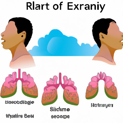 When Was Breathing Invented? Exploring the Evolution, Science and Art
