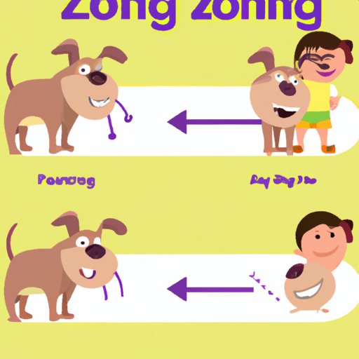 Dog Walker Tips