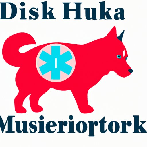 Exploring Husky D Medicare Benefits, Drawbacks, and How to Make the